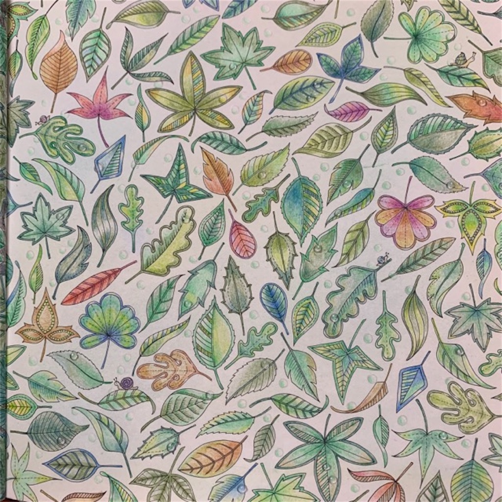 ひみつの花園 より葉っぱの塗り絵 アレンジ 水滴を足してみた てがきーの ひみつの花園 より葉っぱの塗り絵 アレンジ 水滴を足してみた てがきーの