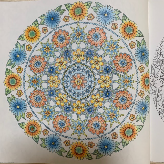 使ったのは4本の色鉛筆だけ ひみつの花園 タイル模様の塗り絵 てがきーの 使ったのは4本の色鉛筆だけ ひみつの花園 タイル模様の塗り絵 てがきーの