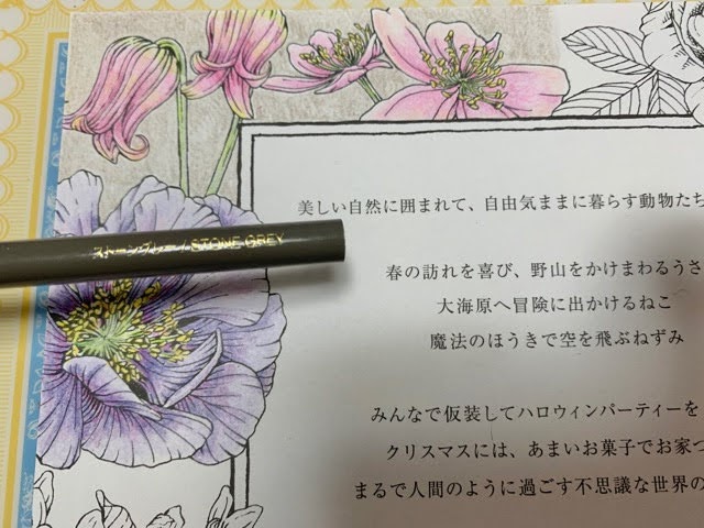 f:id:mitsu5858:20210121221058j:plain