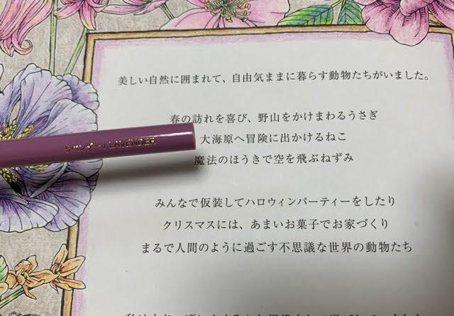 f:id:mitsu5858:20210121221109j:plain