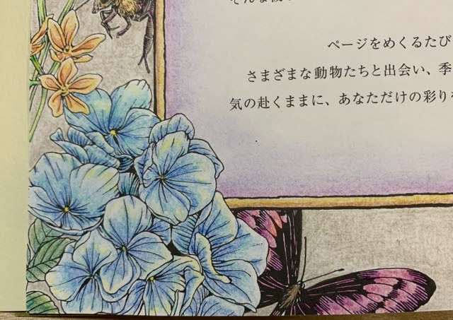 f:id:mitsu5858:20210121221126j:plain
