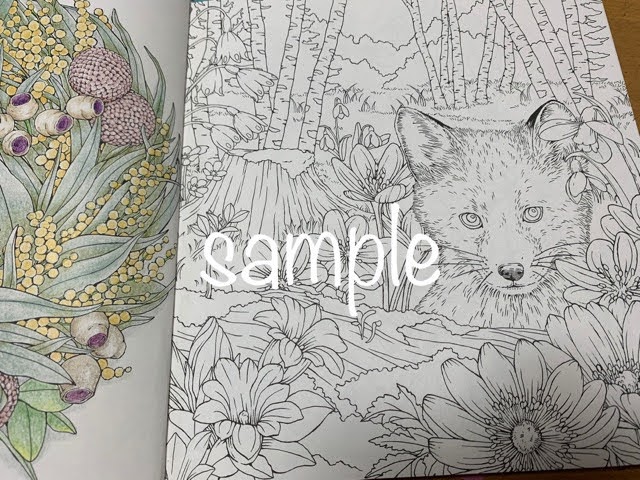 愛らしい動物たちのシンフォニー より森の中のキツネの塗り絵 てがきーの
