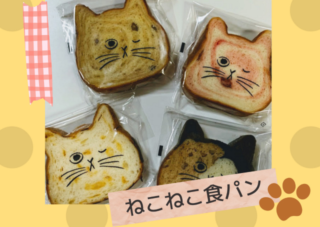 どれがおいしい？【ねこねこ食パン】4種類買って食べた感想