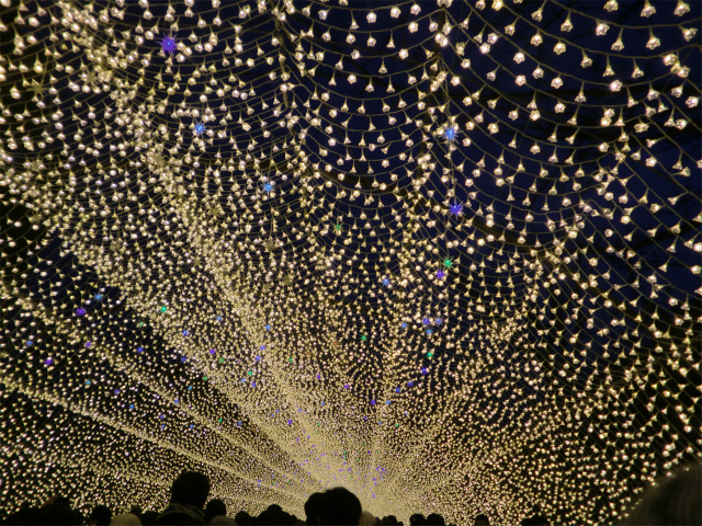 光のトンネル「花回廊」
