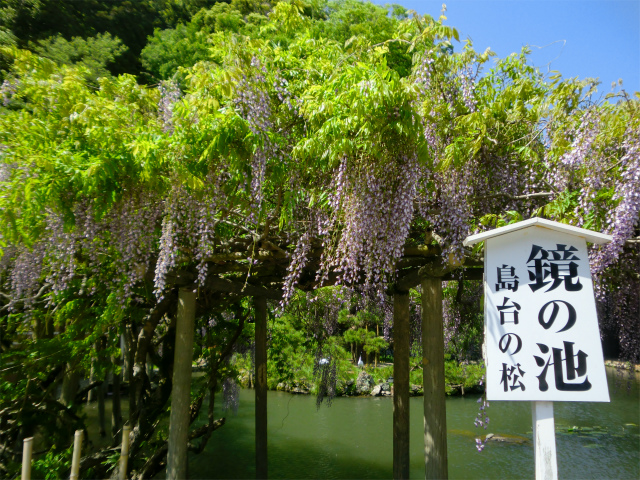 f:id:mitsu5858:20210908103304j:plain