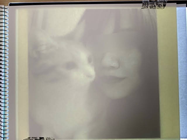 f:id:mitsu5858:20211124101656j:plain