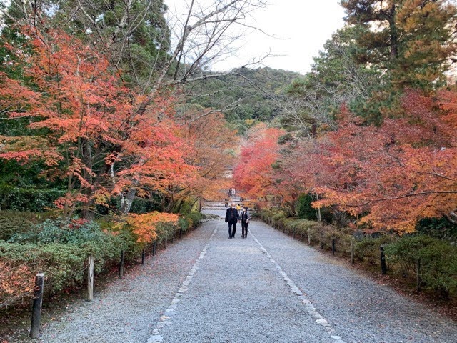 f:id:mitsu5858:20211201100226j:plain