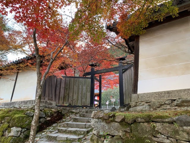 f:id:mitsu5858:20211201100229j:plain