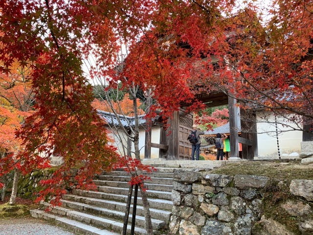 f:id:mitsu5858:20211201100231j:plain