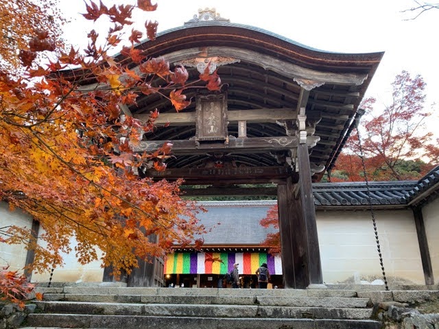 f:id:mitsu5858:20211202095443j:plain