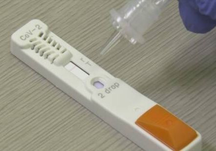 f:id:mitsuami2106:20200902073525j:plain