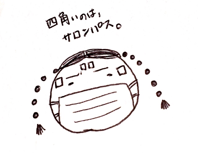 f:id:mitsuamimalasada:20190814190317j:plain