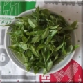 茶葉を耐熱皿に盛って電子レンジへ