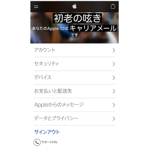 f:id:mitsubachi38:20210318215215j:image f:id:mitsubachi38:20210318215215j:image