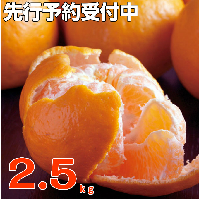 f:id:mitsubachi888:20190223114056j:plain f:id:mitsubachi888:20190223114056j:plain