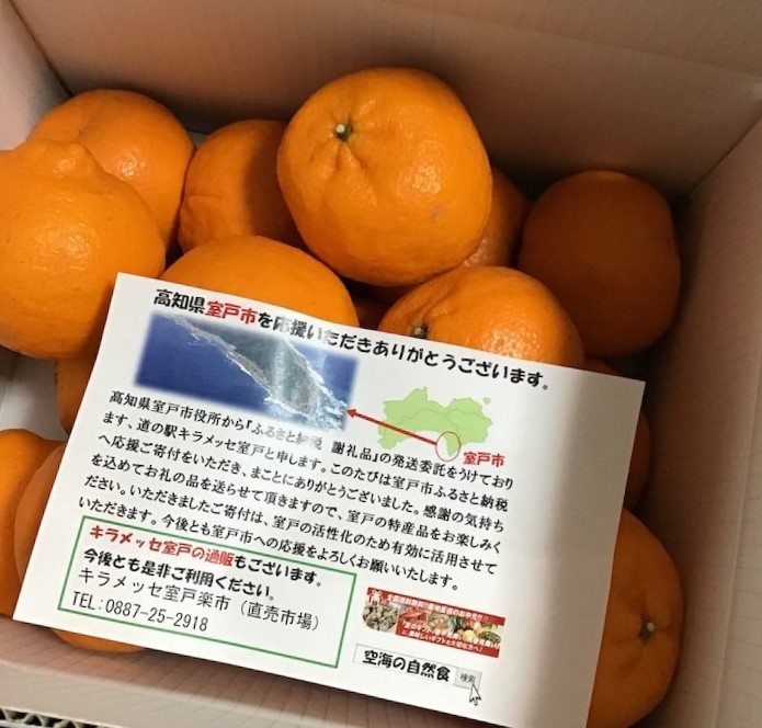 f:id:mitsubachi888:20190223115014j:plain f:id:mitsubachi888:20190223115014j:plain