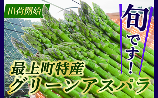 f:id:mitsubachi888:20190223174951j:plain f:id:mitsubachi888:20190223174951j:plain