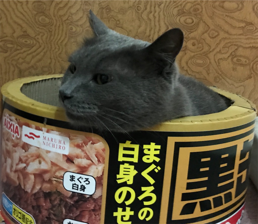 f:id:mitsue-m:20190212213449j:image f:id:mitsue-m:20190212213449j:image