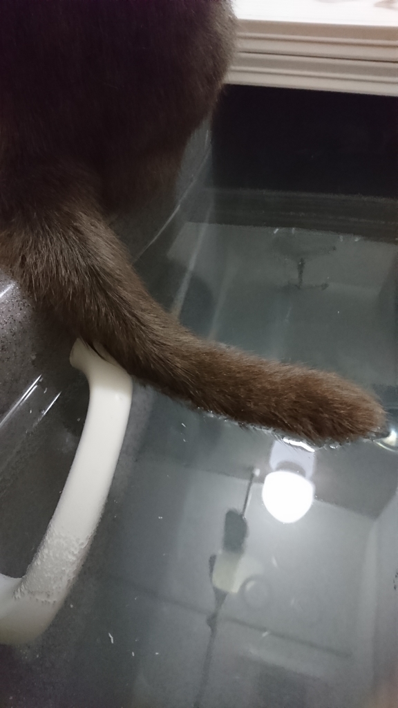 f:id:mitsue-m:20190214003100j:plain f:id:mitsue-m:20190214003100j:plain