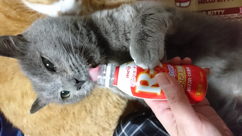 f:id:mitsue-m:20190214235843j:plain f:id:mitsue-m:20190214235843j:plain