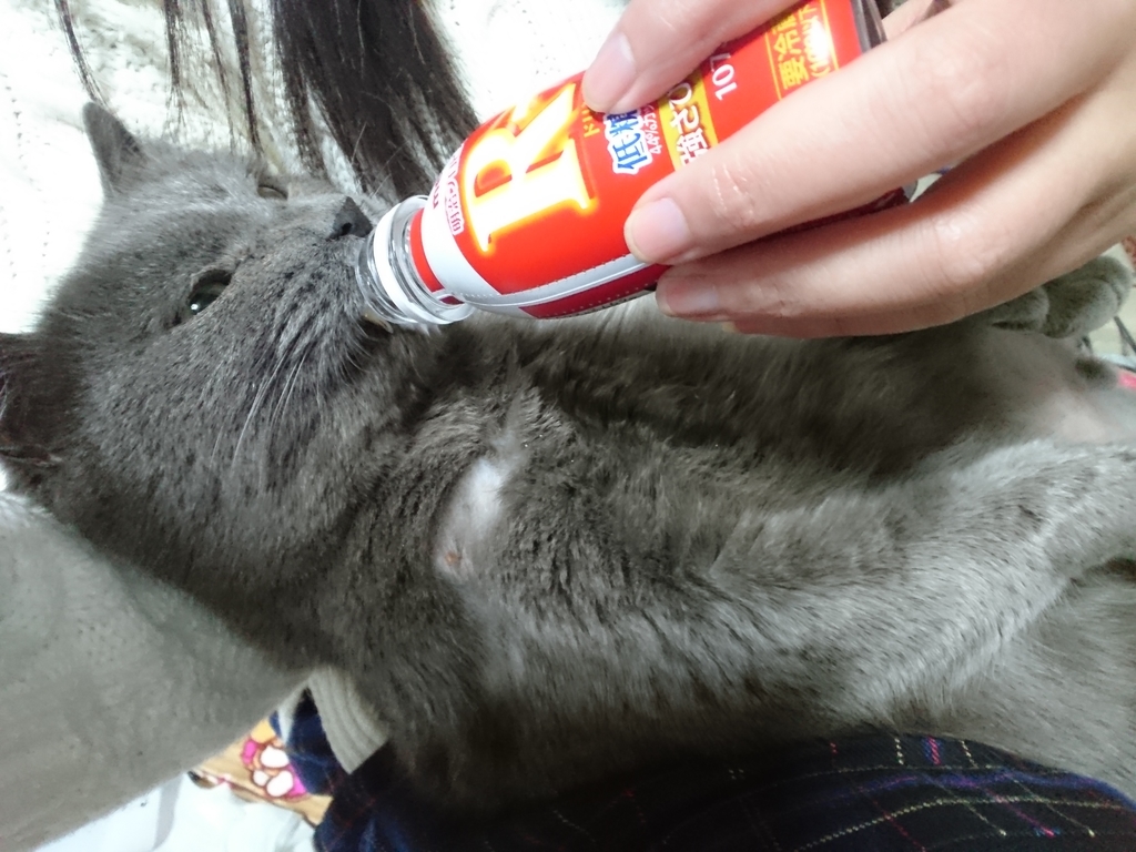 f:id:mitsue-m:20190215000248j:plain f:id:mitsue-m:20190215000248j:plain