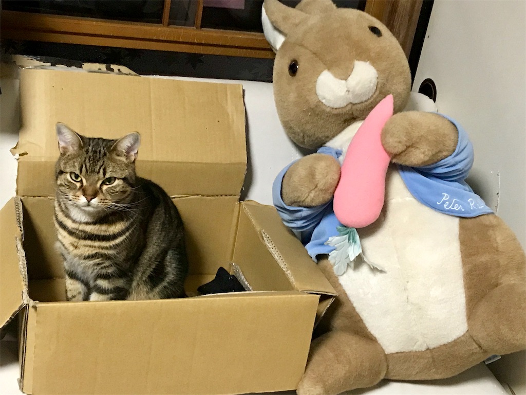 f:id:mitsue-m:20190331145458j:image f:id:mitsue-m:20190331145458j:image