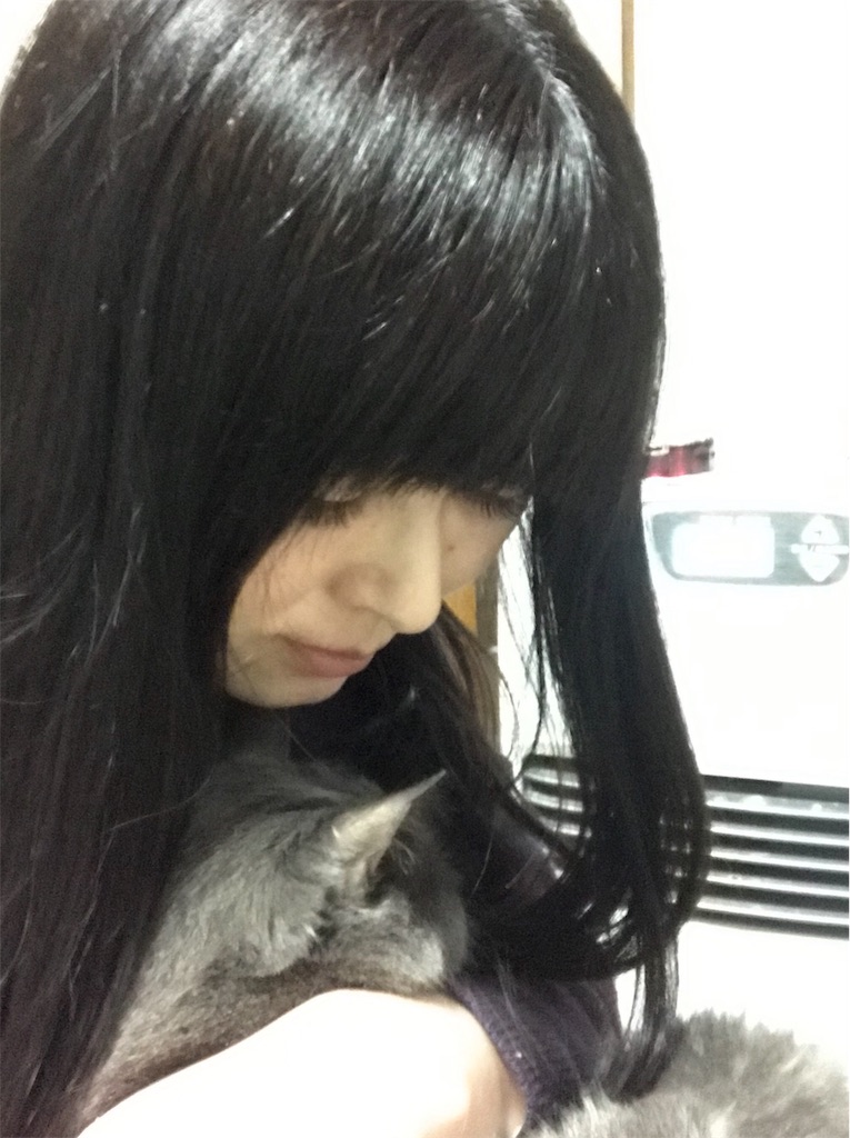 f:id:mitsue-m:20190331220301j:image f:id:mitsue-m:20190331220301j:image