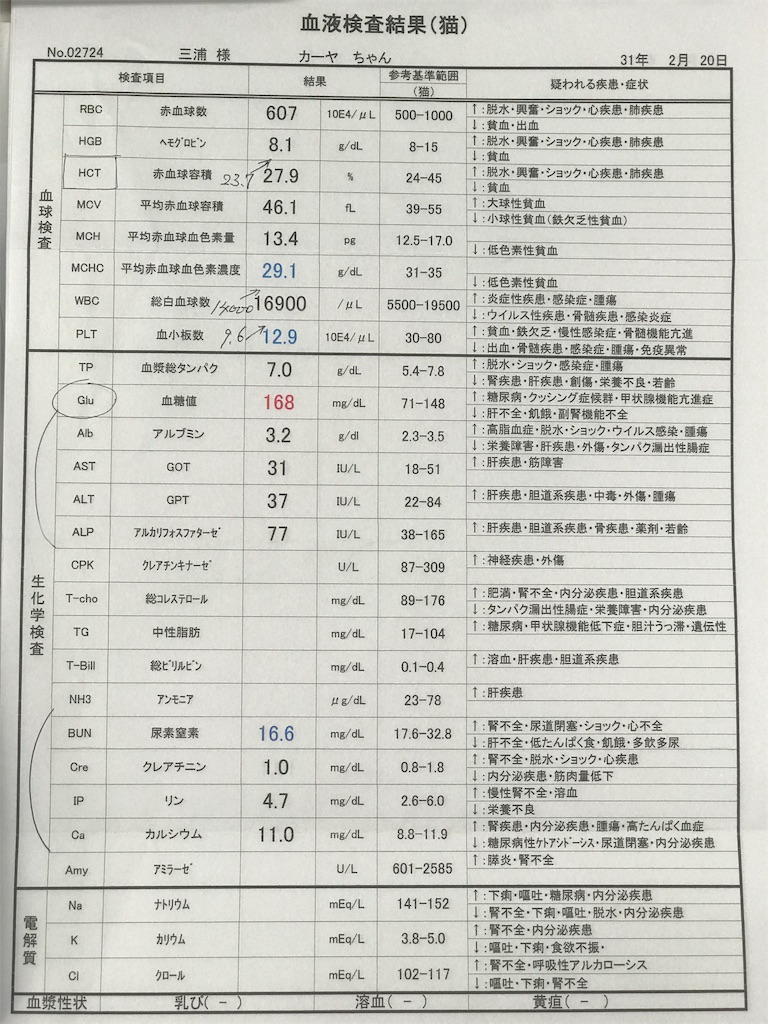 f:id:mitsue-m:20190331221229j:image f:id:mitsue-m:20190331221229j:image