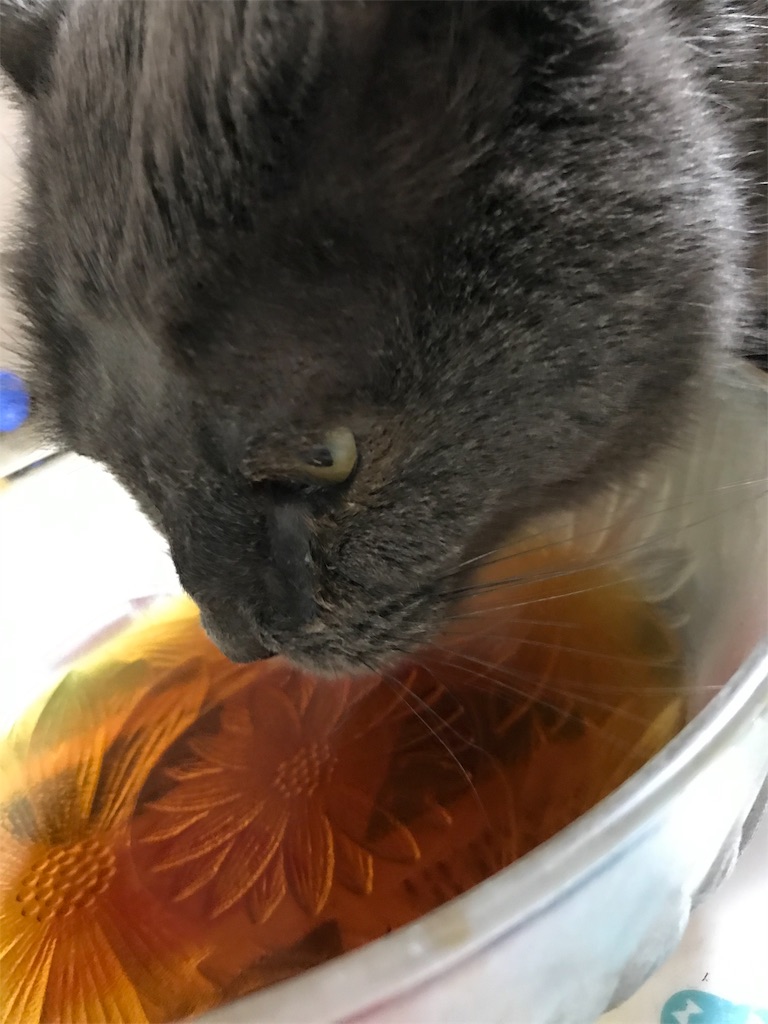 f:id:mitsue-m:20190404212242j:image