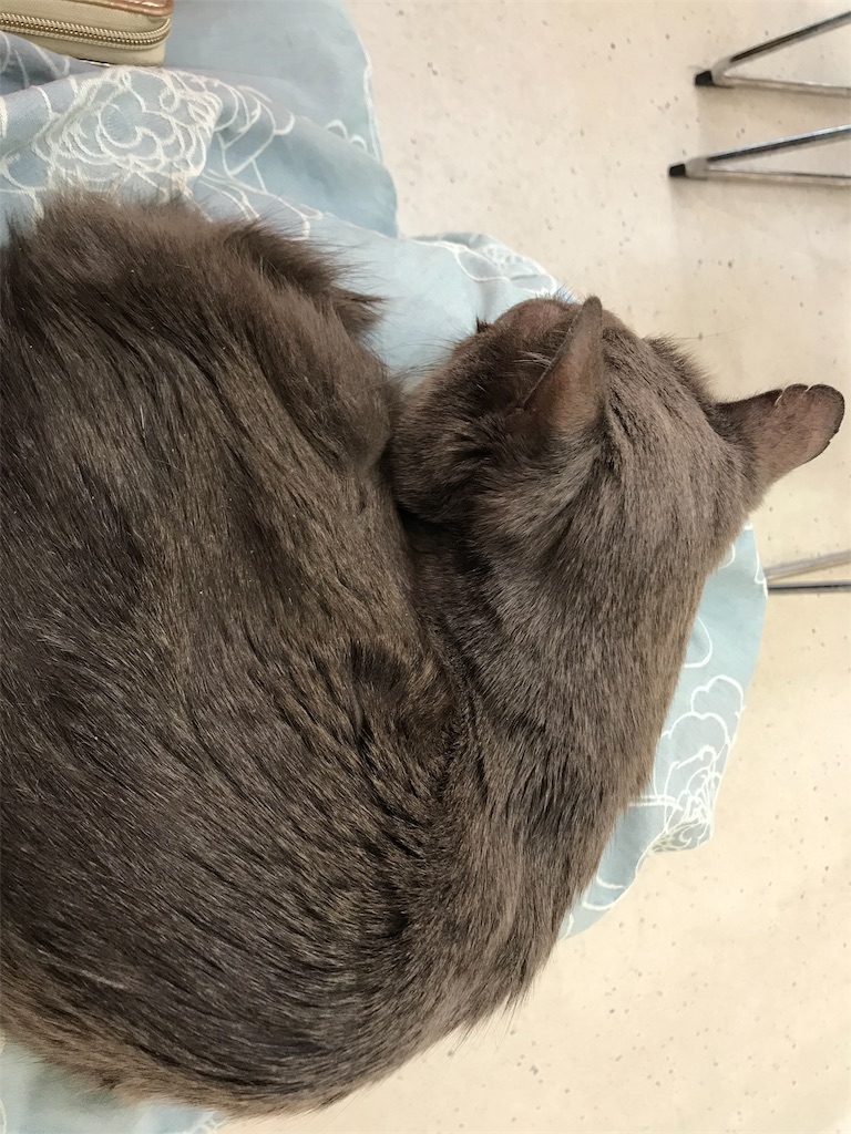 f:id:mitsue-m:20190418215455j:image