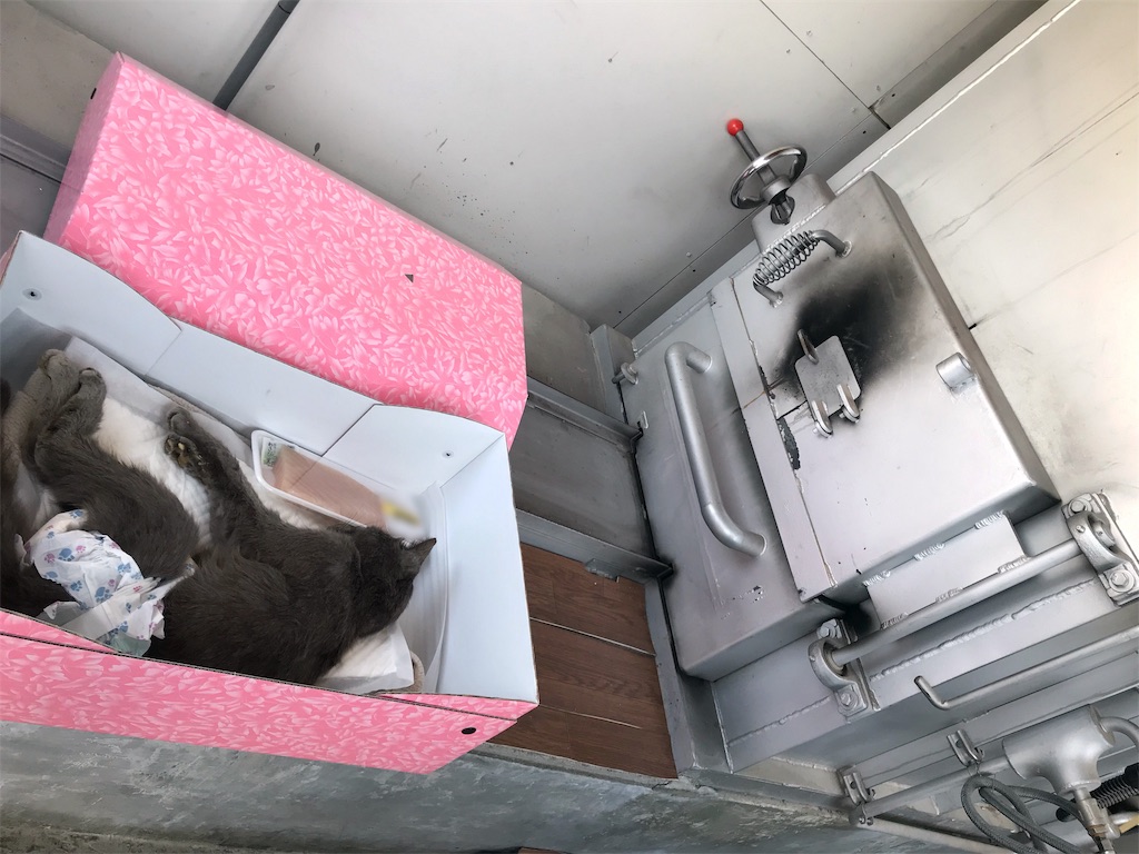 f:id:mitsue-m:20190517234602j:image f:id:mitsue-m:20190517234602j:image