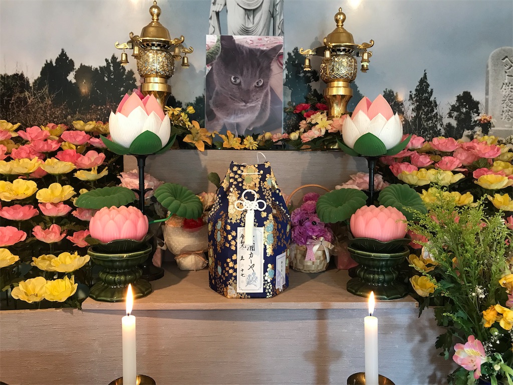 f:id:mitsue-m:20190518001157j:image f:id:mitsue-m:20190518001157j:image