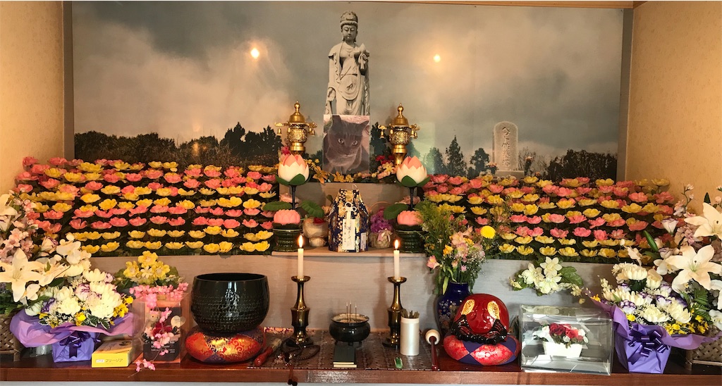 f:id:mitsue-m:20190518001200j:image f:id:mitsue-m:20190518001200j:image