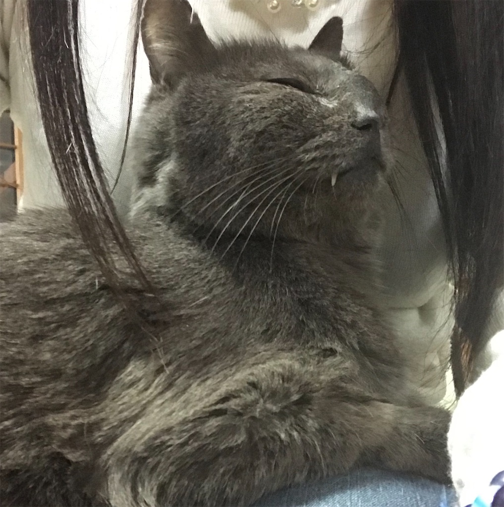 f:id:mitsue-m:20200512014043j:image f:id:mitsue-m:20200512014043j:image