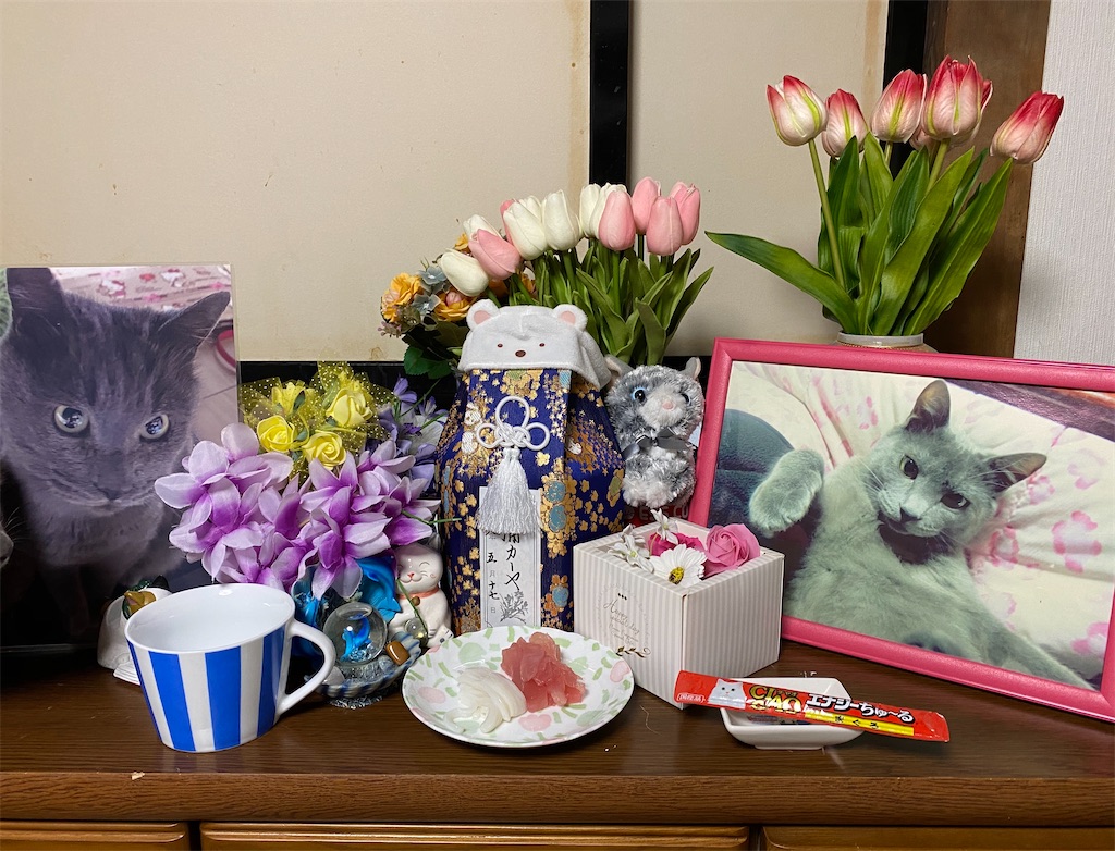 f:id:mitsue-m:20200529002243j:image f:id:mitsue-m:20200529002243j:image