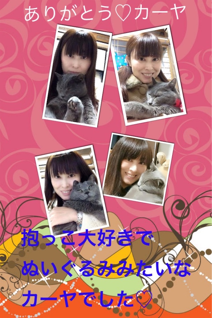 f:id:mitsue-m:20200529231739j:image f:id:mitsue-m:20200529231739j:image