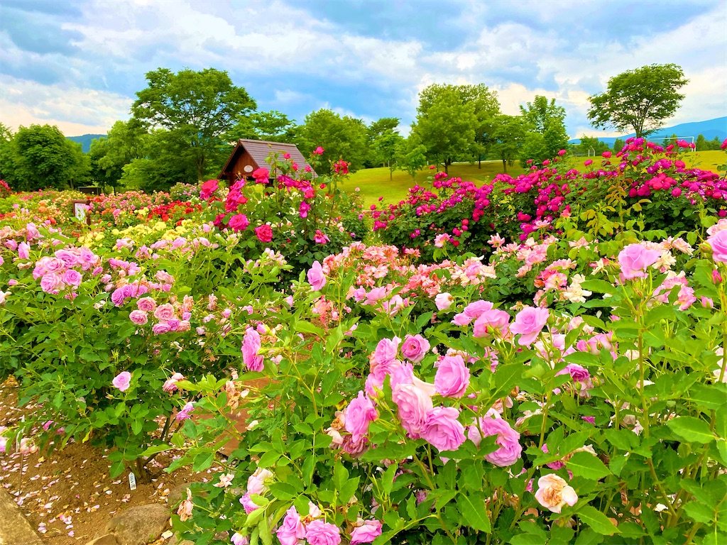 f:id:mitsue-m:20210903234933j:image f:id:mitsue-m:20210903234933j:image