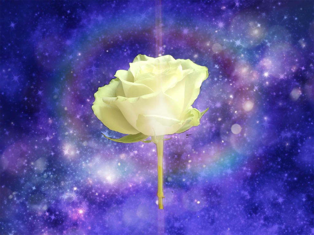 f:id:mitsue-m:20210904001259j:image f:id:mitsue-m:20210904001259j:image