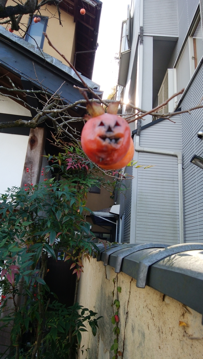 f:id:mitsuki1617:20211126153744j:plain