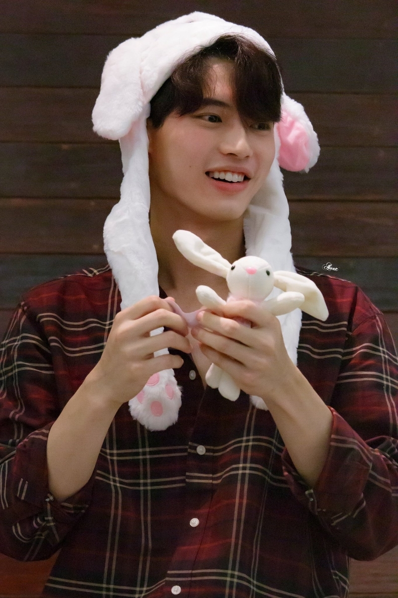 ジャニオタ、2gether見て - お気に召すまま