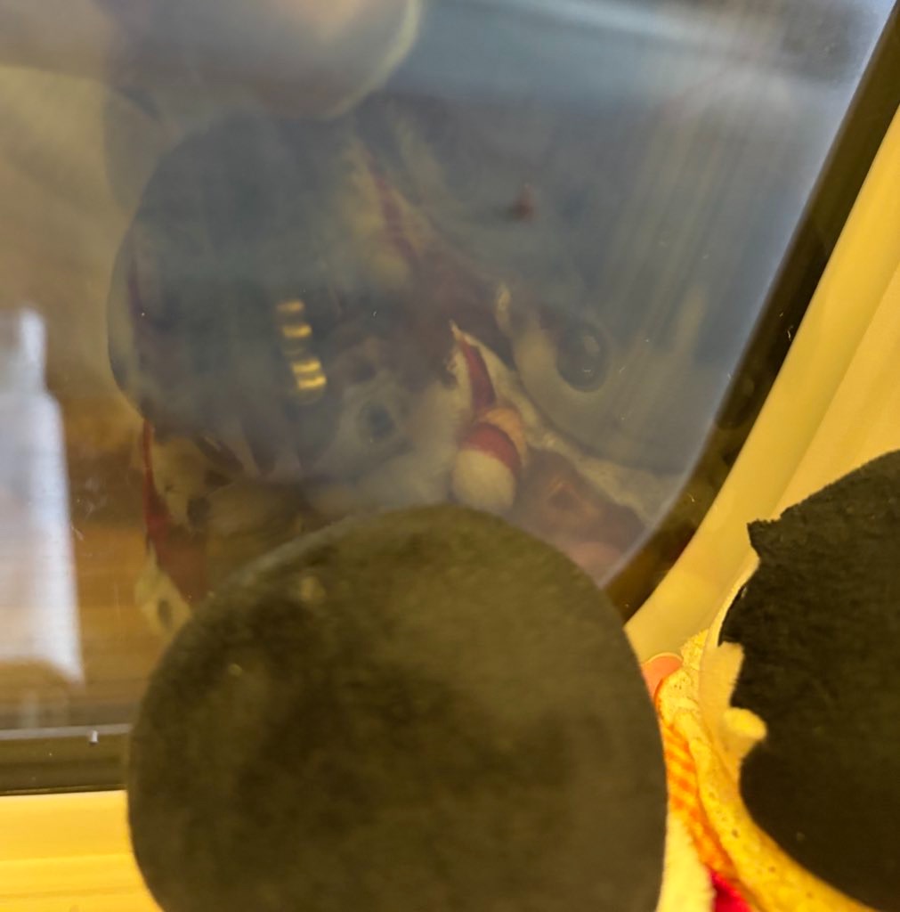 f:id:mitsuki830:20260315105016j:image