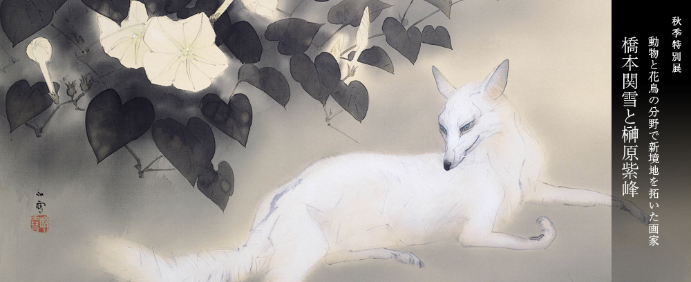 柳原紫峰作　絹本【牡丹　大和鵲之図】足立美術館所蔵複製画　足立美術館共箱　201 柳原紫峰作 絹本【牡丹 大和鵲之図】足立美術館所蔵複製画 足立