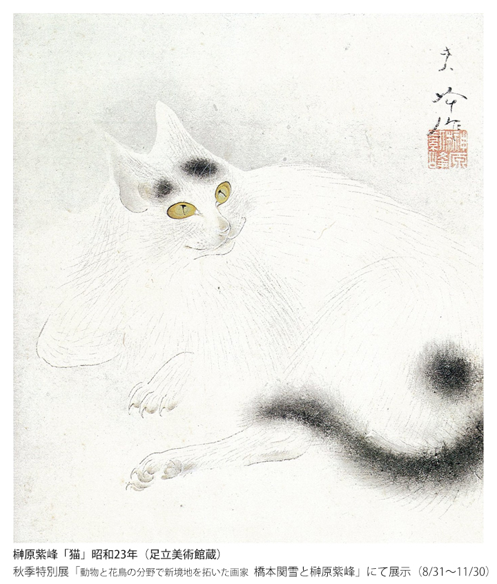 柳原紫峰作　絹本【牡丹　大和鵲之図】足立美術館所蔵複製画　足立美術館共箱　201 柳原紫峰作 絹本【牡丹 大和鵲之図】足立美術館所蔵複製画 足立