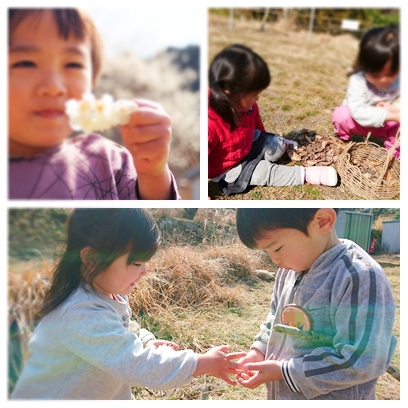 f:id:mitsukuro3:20190306093137j:plain f:id:mitsukuro3:20190306093137j:plain