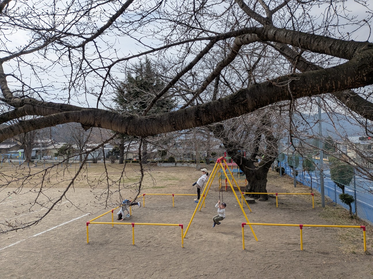 f:id:mitsumame3:20260318131720j:image