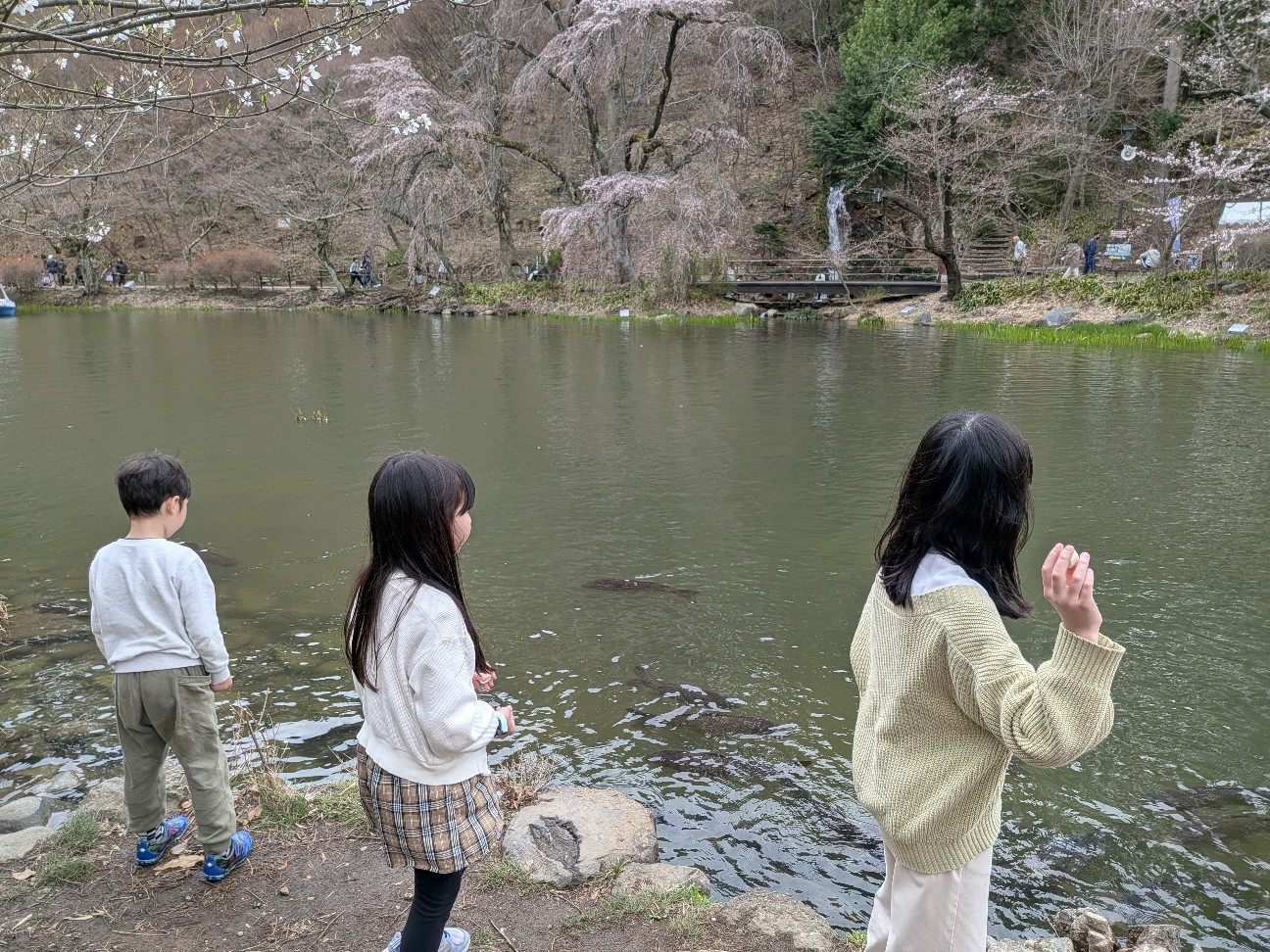 f:id:mitsumame3:20260408200808j:image f:id:mitsumame3:20260408200808j:image