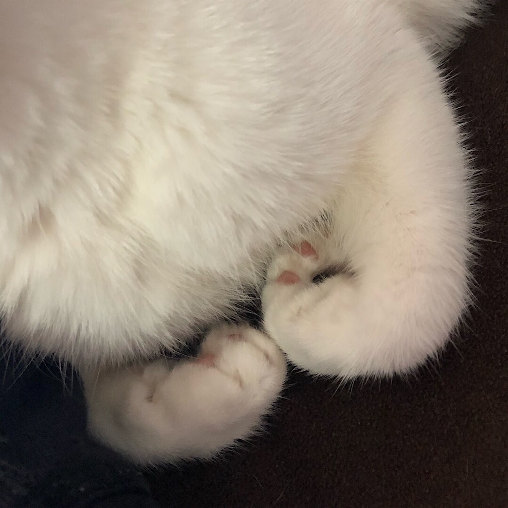 f:id:mitsume_tobesimple:20190617122551j:image f:id:mitsume_tobesimple:20190617122551j:image