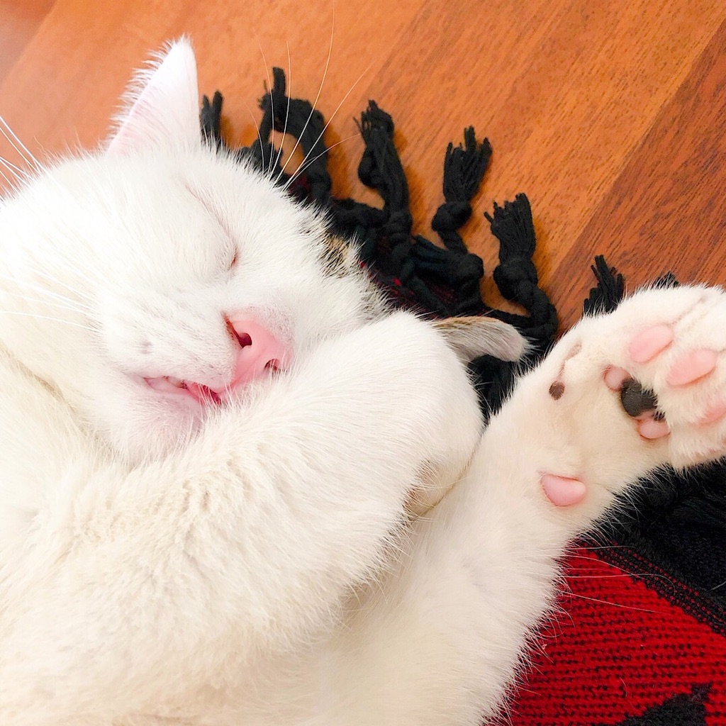 f:id:mitsume_tobesimple:20190702190932j:image