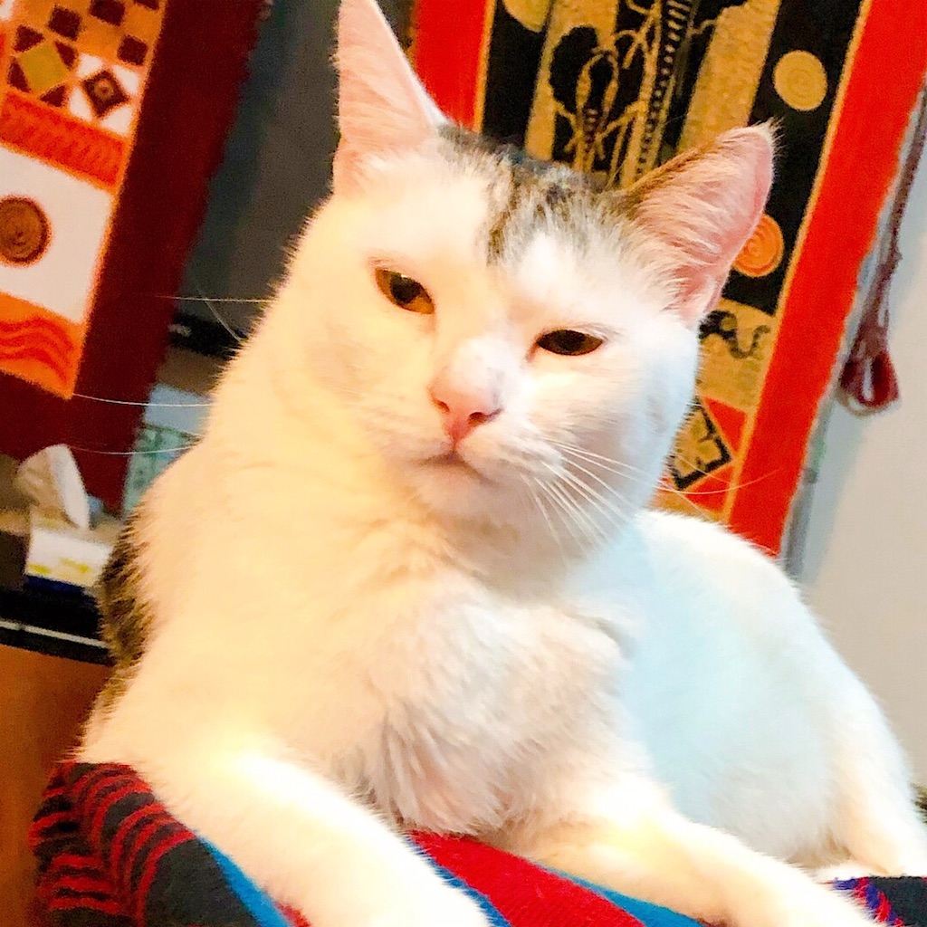 f:id:mitsume_tobesimple:20190702193711j:image