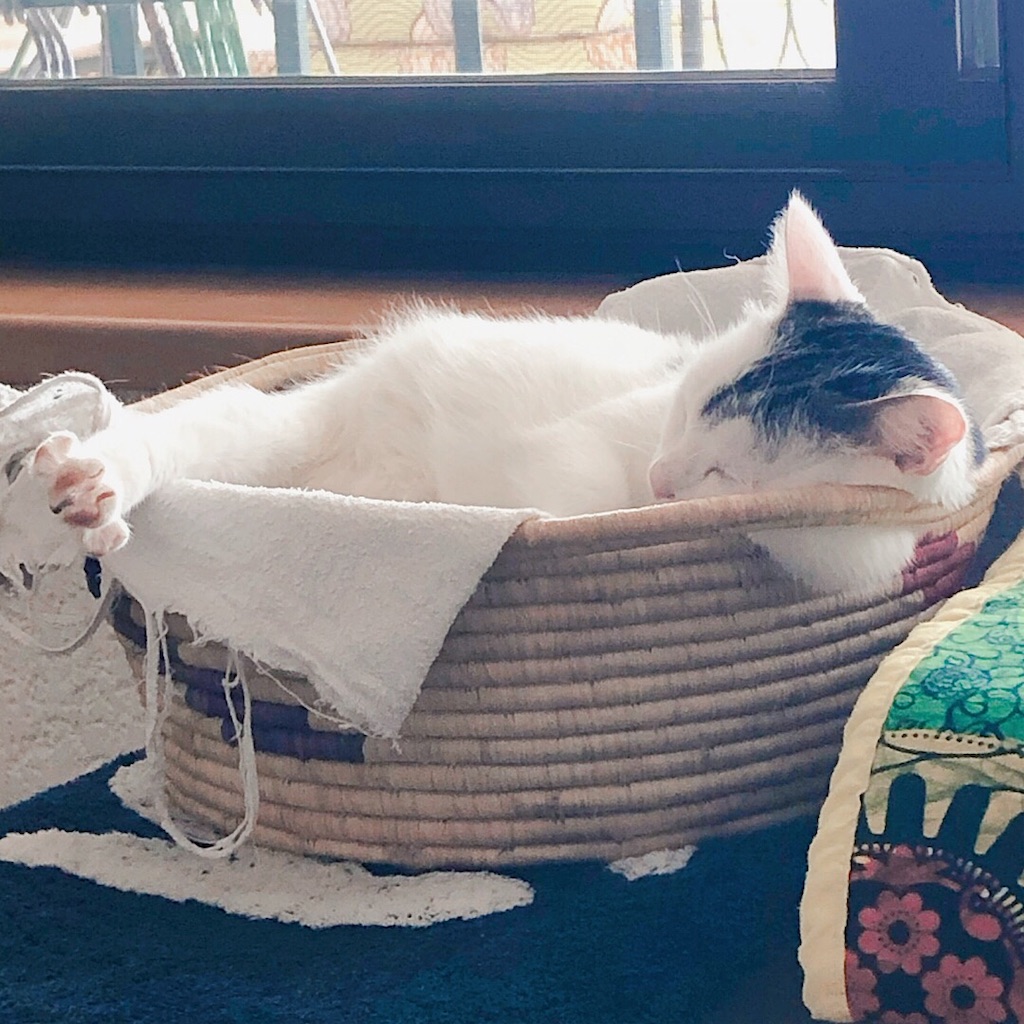 f:id:mitsume_tobesimple:20190714160528j:image